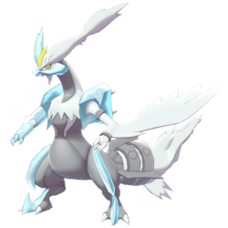 White Kyurem