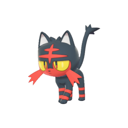 Litten pictures of How to