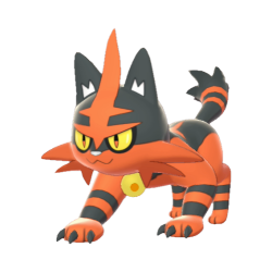 Torracat