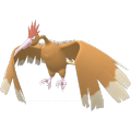 Fearow