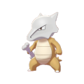 Marowak