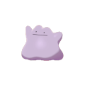 Ditto