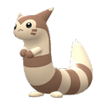 Furret