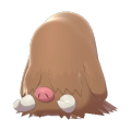 Piloswine