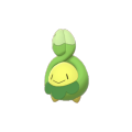 Budew