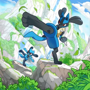 Lucario and Riolu Binders