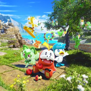 Paldean Wonders Binders