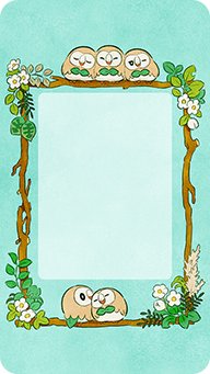 Display Boards
