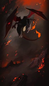 Shiny Charizard Display Boards