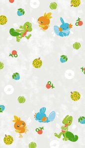 Treecko & Torchic & Mudkip (Display Boards)