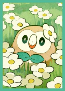 Rowlet Sleeves