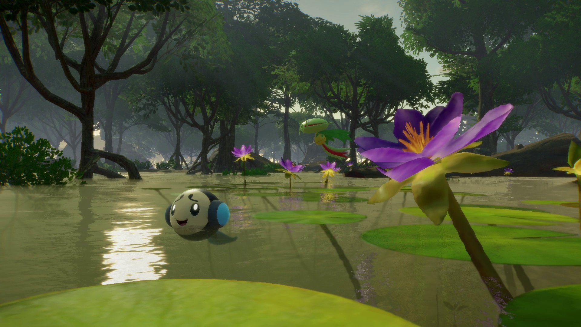 Pok�mon Winds & Waves