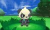 Pancham in battle