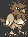 [PokeCommunity.com] The "N" Run.