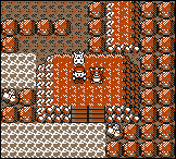 Pokémon Yellow - Legendary Pokémon